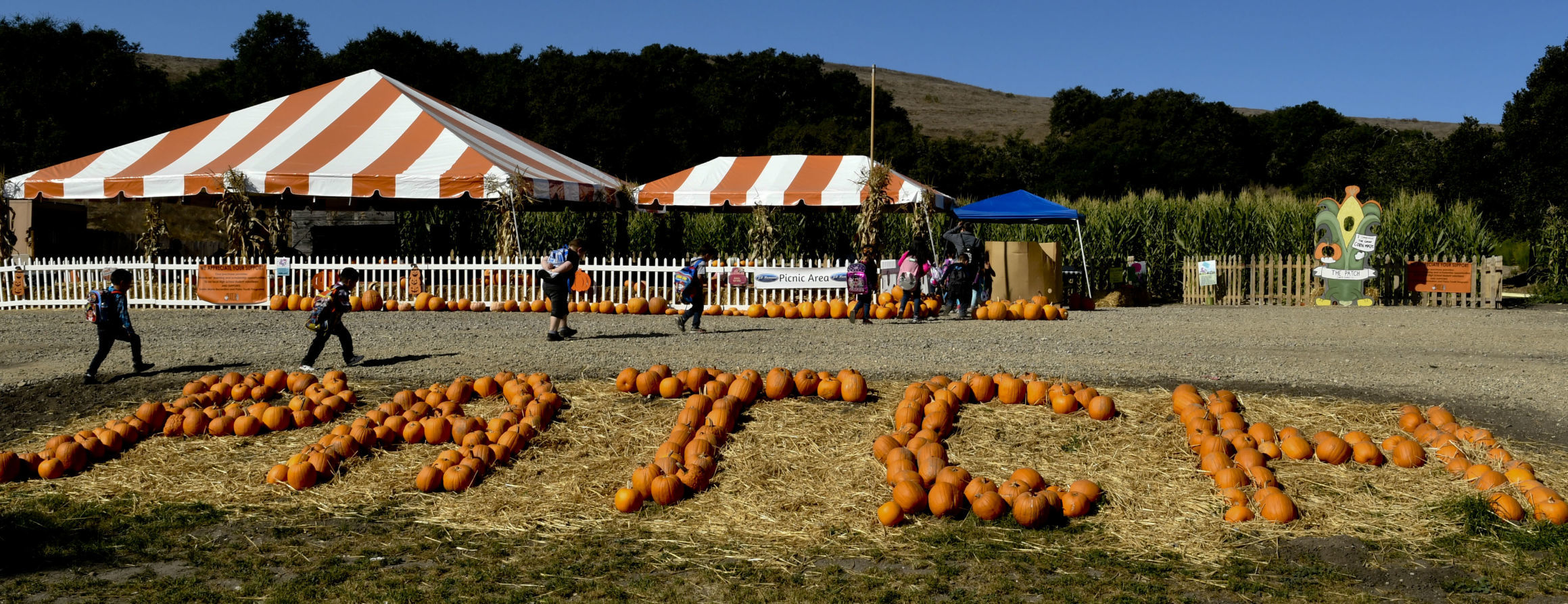 101119 The Patch 07.jpg